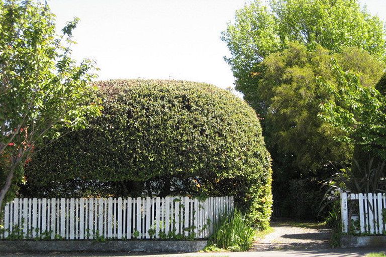 Photo of property in 245 Greers Road, Bryndwr, Christchurch, 8053