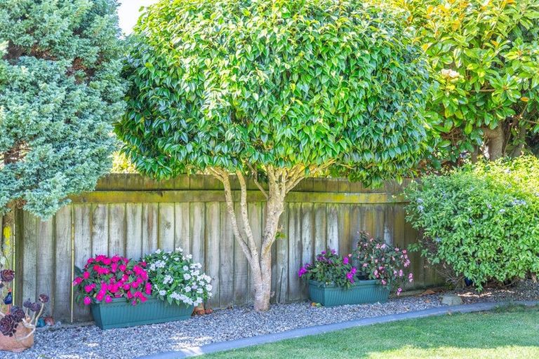 Photo of property in 79 Parata Street, Waikanae, 5036