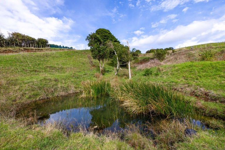 Photo of property in 62 Cornes Road, Raglan, 3296