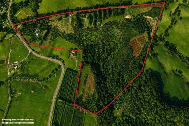 Photo of property in 501 Purangi Road, Purangi, Whitianga, 3591