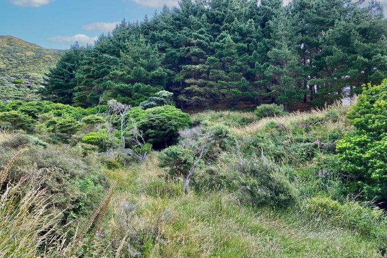 Photo of property in Long Gully Farm, 391 Southernthread Road, Brooklyn, Wellington, 6021