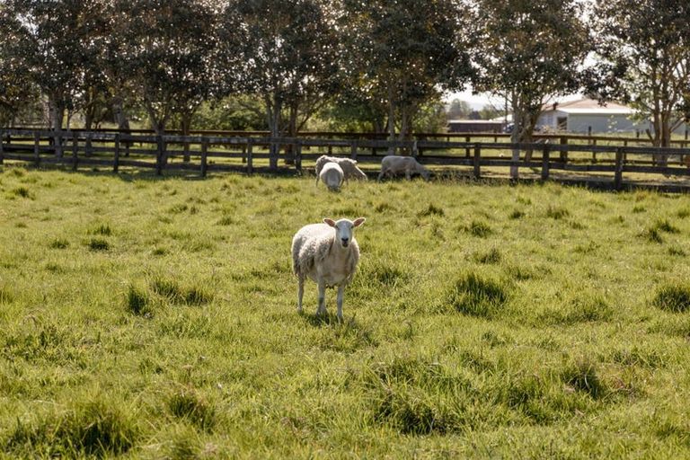 Photo of property in 109 Te Rahu Road, Poroporo, Whakatane, 3193