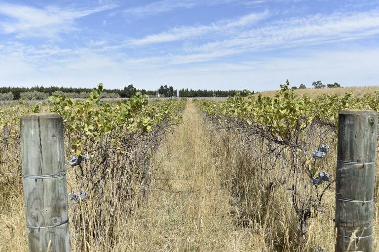 Photo of property in 53 Te Taniwha Road, One Tree Point, 0118