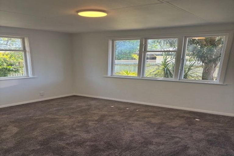 Photo of property in 115 Limbrick Street, Terrace End, Palmerston North, 4410