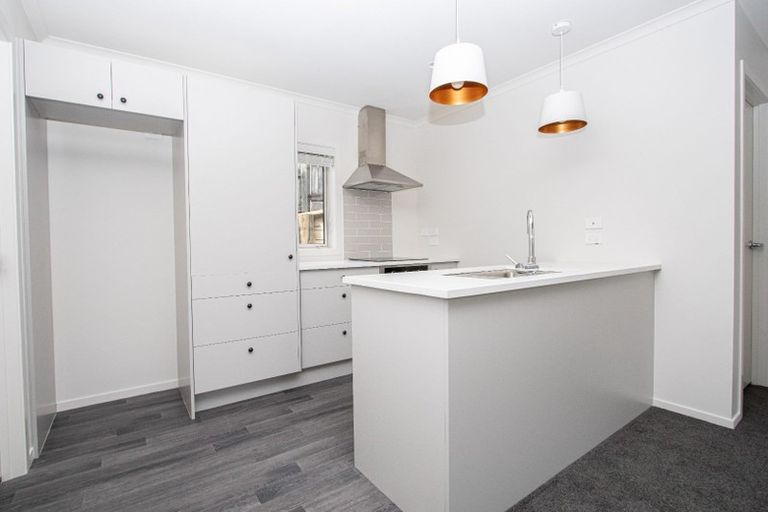 Photo of property in 18u4 Rothwell Street, Dinsdale, Hamilton, 3204