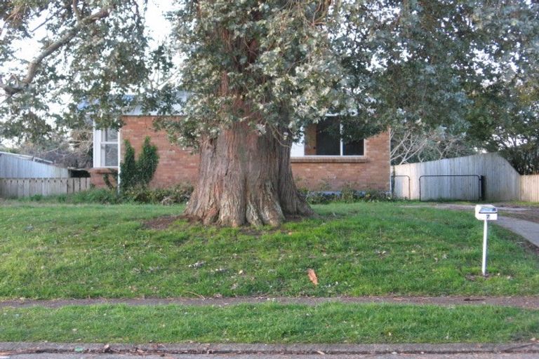 Photo of property in 7 Halberg Crescent, Chartwell, Hamilton, 3210