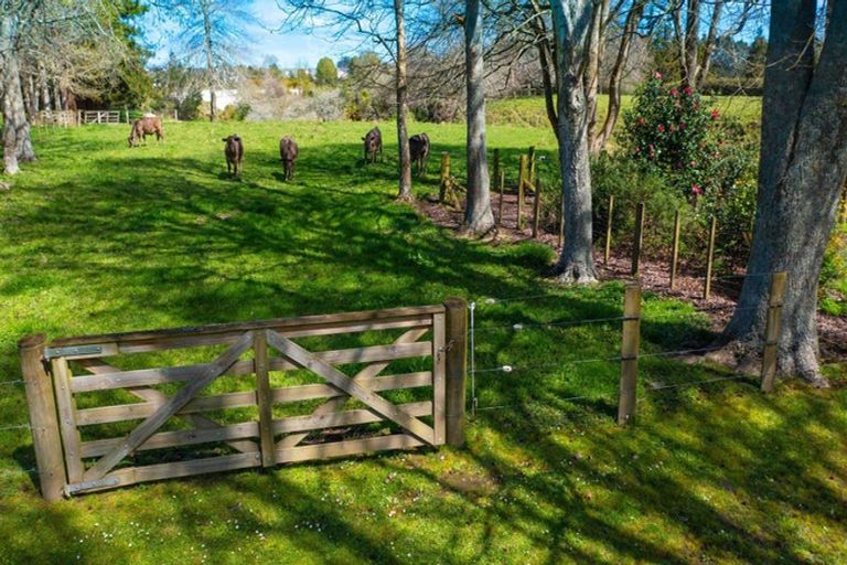 Photo of property in 64 Peacockes Lane, Peacocke, Hamilton, 3282