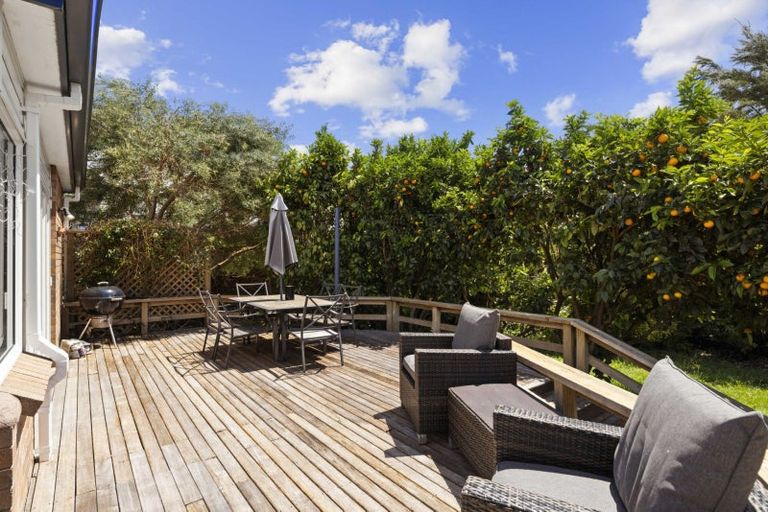 Photo of property in 147 Kings Avenue, Matua, Tauranga, 3110