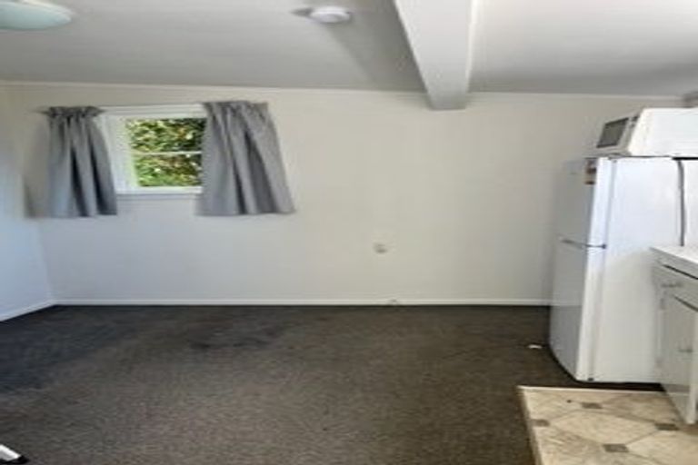 Photo of property in 45 Apuka Street, Brooklyn, Wellington, 6021