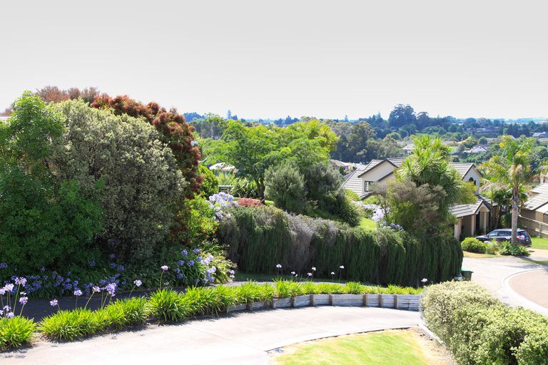 Photo of property in 23 Hallmark Rise, Bethlehem, Tauranga, 3110