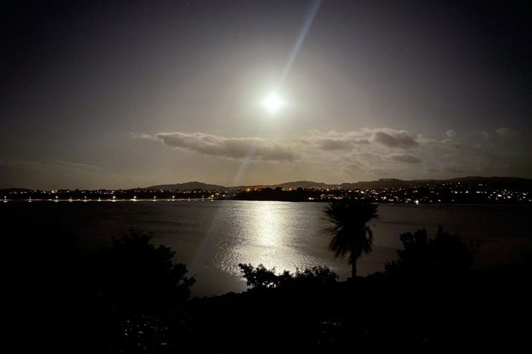 Photo of property in 49 Baycroft Avenue, Parkvale, Tauranga, 3112