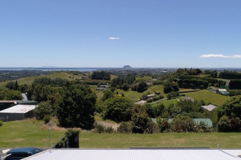 Photo of property in 229b Crawford Road, Minden, Tauranga, 3171
