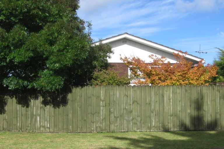 Photo of property in 10 Hinerau Street, Henderson, Auckland, 0612