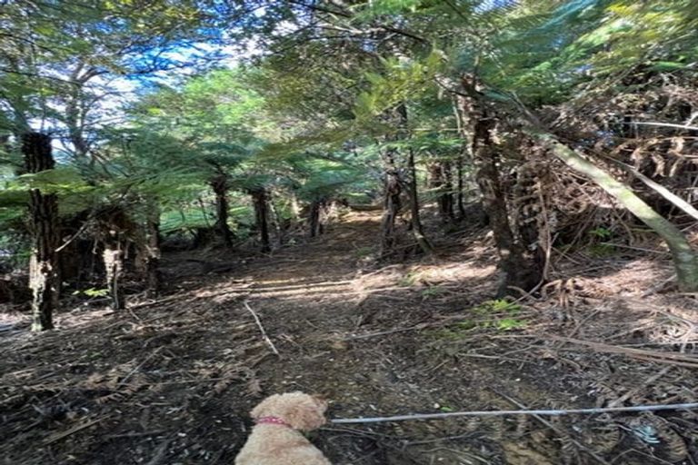 Photo of property in 211 Krippner Road, Puhoi, Warkworth, 0994