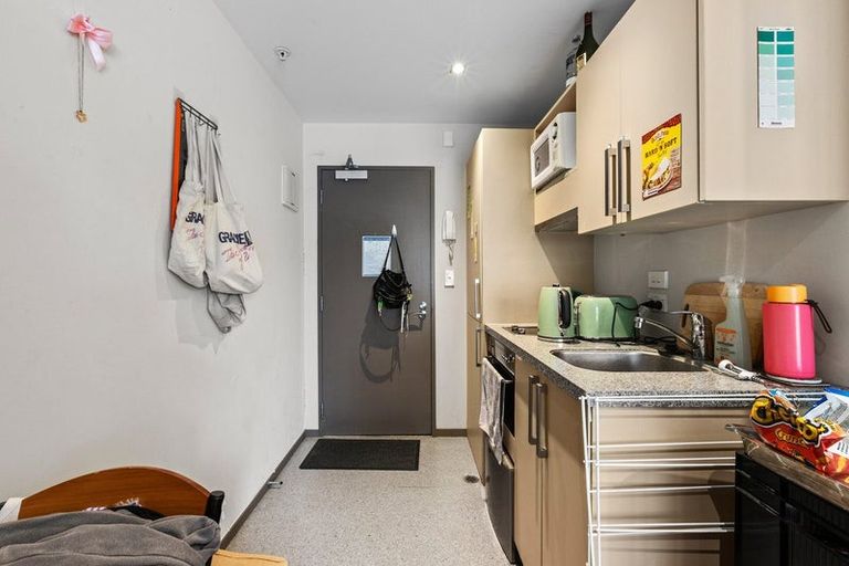 Photo of property in Dual Apartments, 308/142 Vivian Street, Te Aro, Wellington, 6011