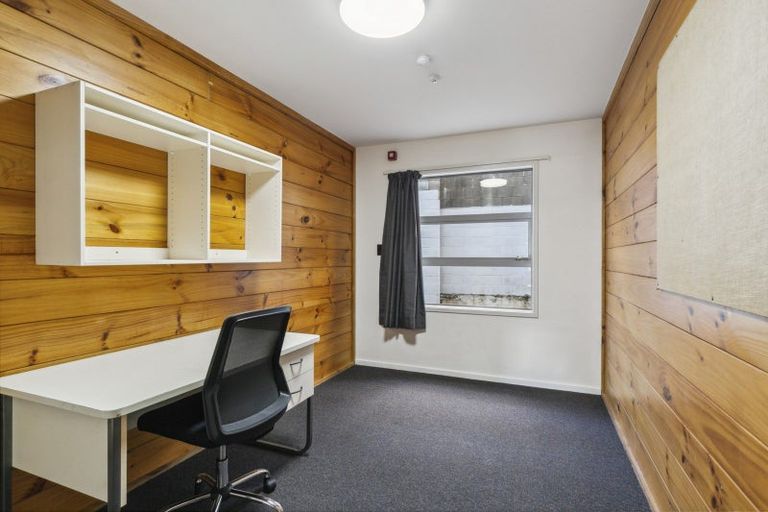 Photo of property in Drummond Street Flats, 17/19u Drummond Street, Mount Cook, Wellington, 6021