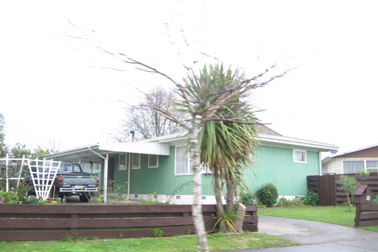 Photo of property in 22 Essex Street, Tamatea, Napier, 4112
