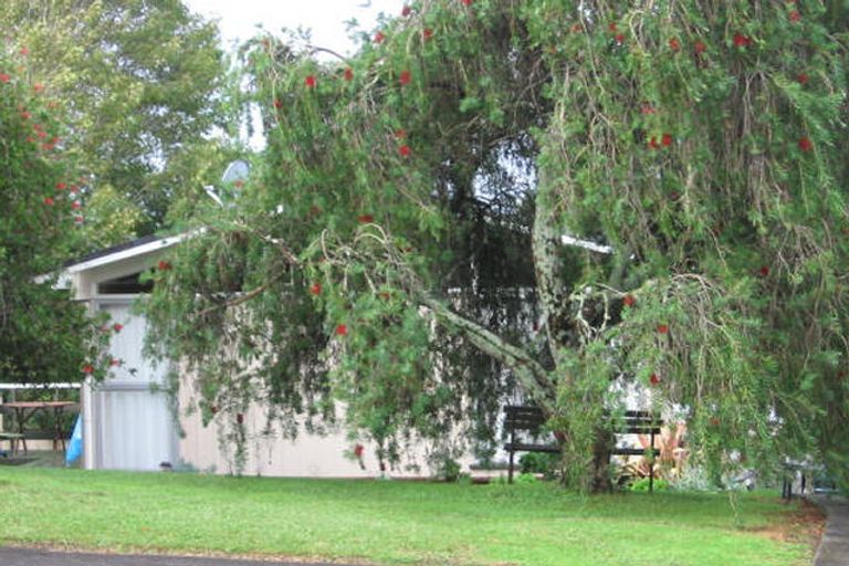 Photo of property in 6 Dundas Place, Henderson, Auckland, 0612