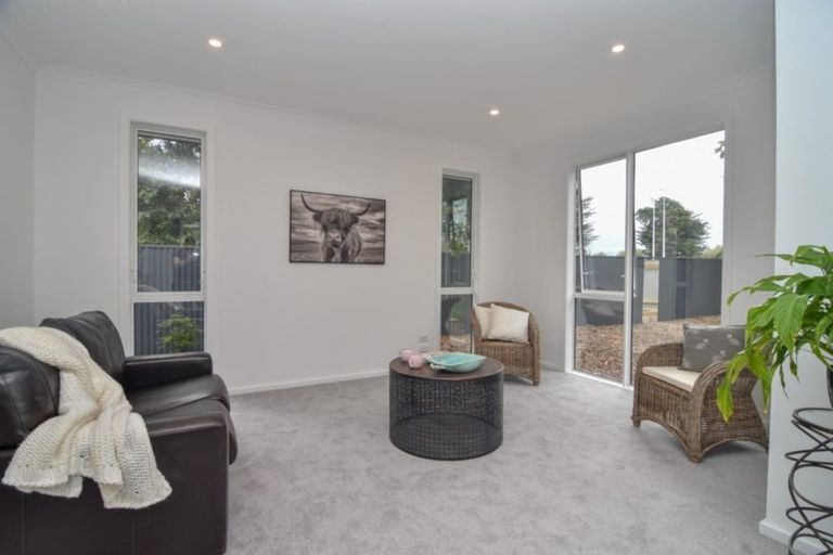 Photo of property in 116 Bentley Street, Masterton, 5810