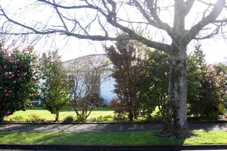 Photo of property in 24a Michael Street, Kuripuni, Masterton, 5810