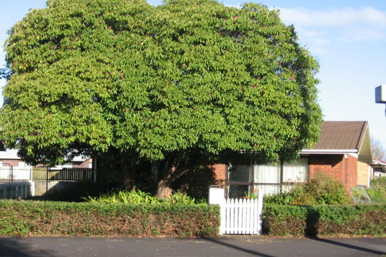 Photo of property in 145 Massey Street, Frankton, Hamilton, 3204