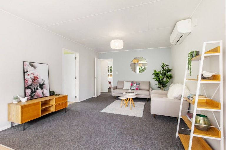 Photo of property in 45 Green Avenue, Levin, 5510