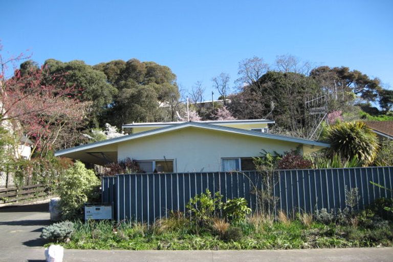Photo of property in 28a Von Dadelszen Place, Havelock North, 4130