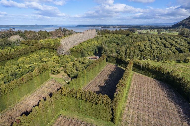 Photo of property in 308 Athenree Road, Athenree, Katikati, 3177