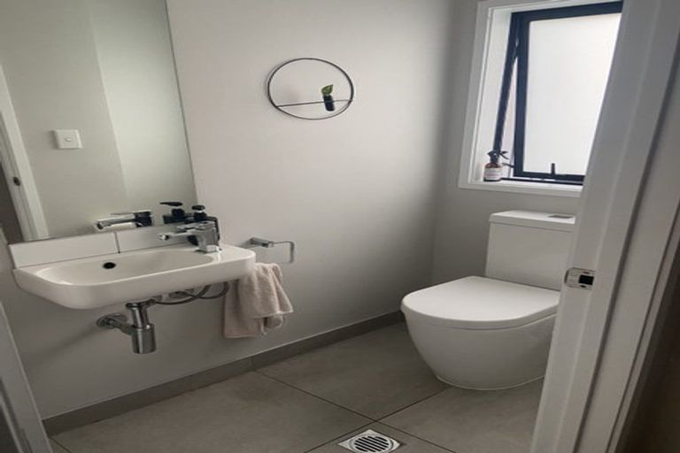 Photo of property in 12 Piko Lane, Hobsonville, Auckland, 0616