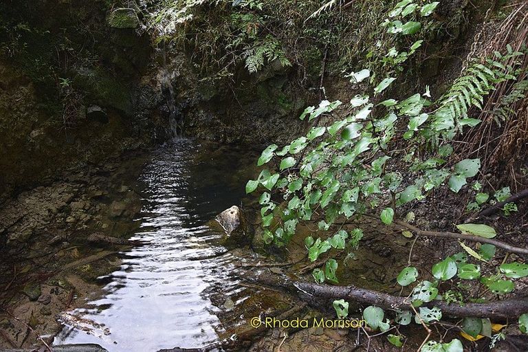 Photo of property in 186 Metcalfe Road, Ranui, Auckland, 0612
