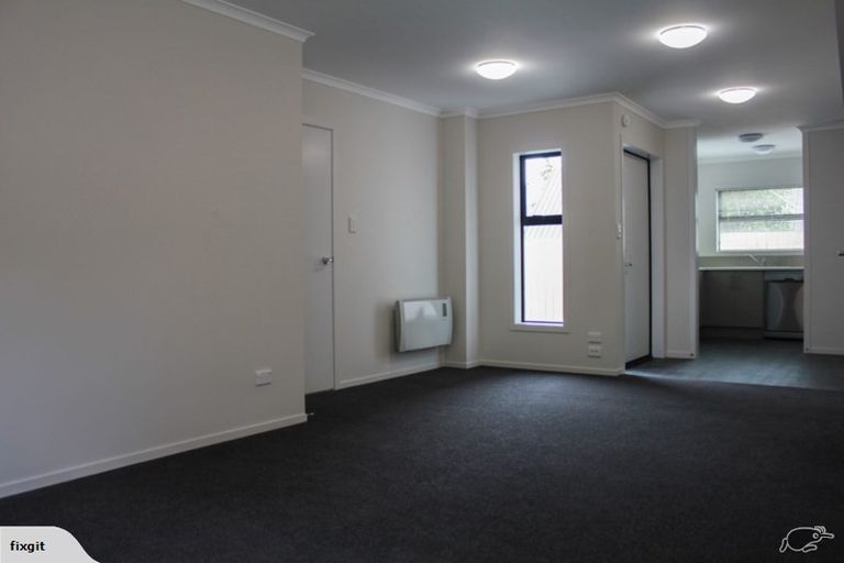 Photo of property in 20u4 Manning Street, Hamilton Central, Hamilton, 3204