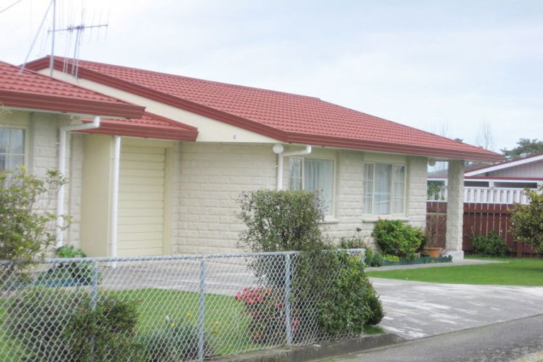 Photo of property in 65 Winchester Street, Levin, 5510