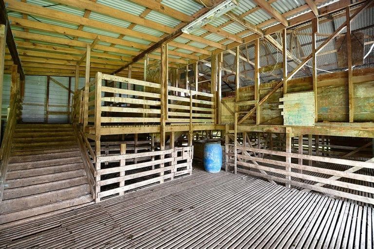 Photo of property in 88 Rapson Road, Kaukapakapa, 0871