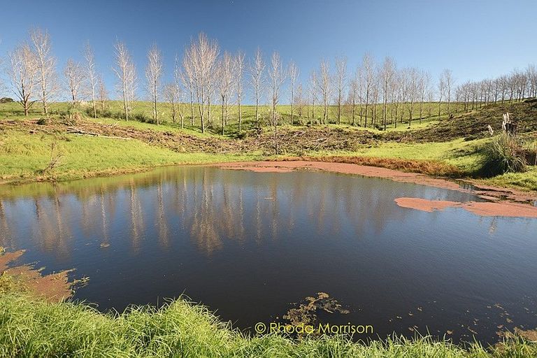 Photo of property in 186 Metcalfe Road, Ranui, Auckland, 0612