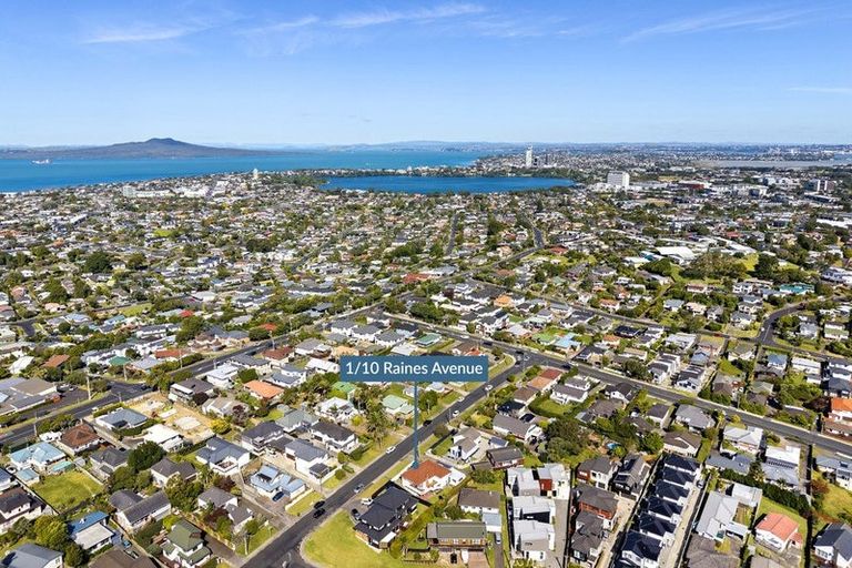 Photo of property in 1/10 Raines Avenue, Forrest Hill, Auckland, 0620