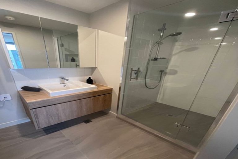 Photo of property in Pinnacle On Victoria, 160 Victoria Street, Te Aro, Wellington, 6011