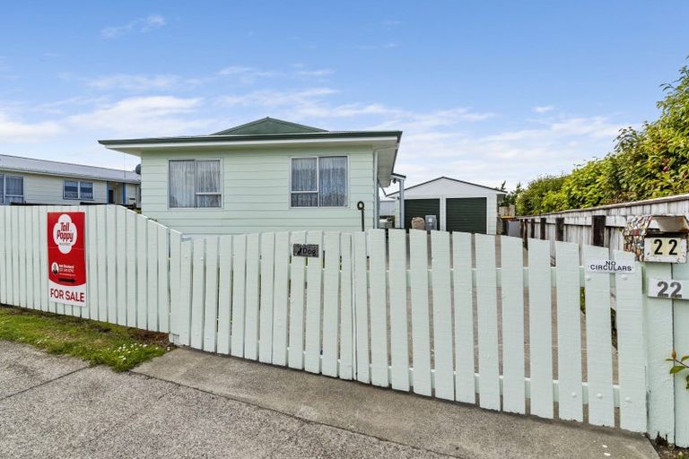 Photo of property in 22 Exeter Street, Stratford, 4332