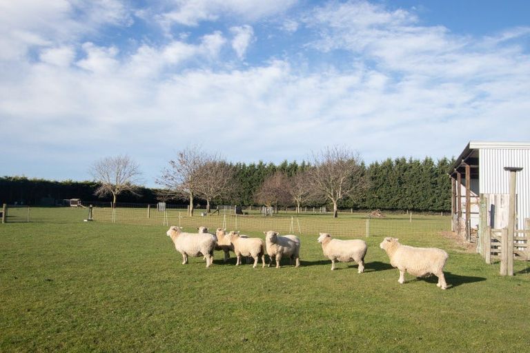 Photo of property in 81 Morris Road, Newland, Ashburton, 7772