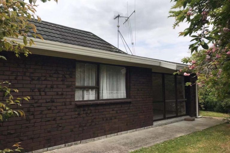 Photo of property in 34 Chequers Avenue, Chartwell, Hamilton, 3210