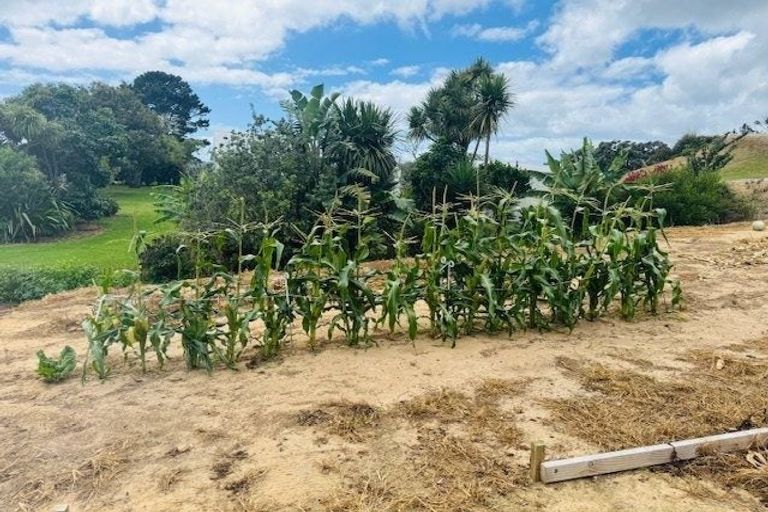 Photo of property in 4217b Far North Road, Pukenui, 0484