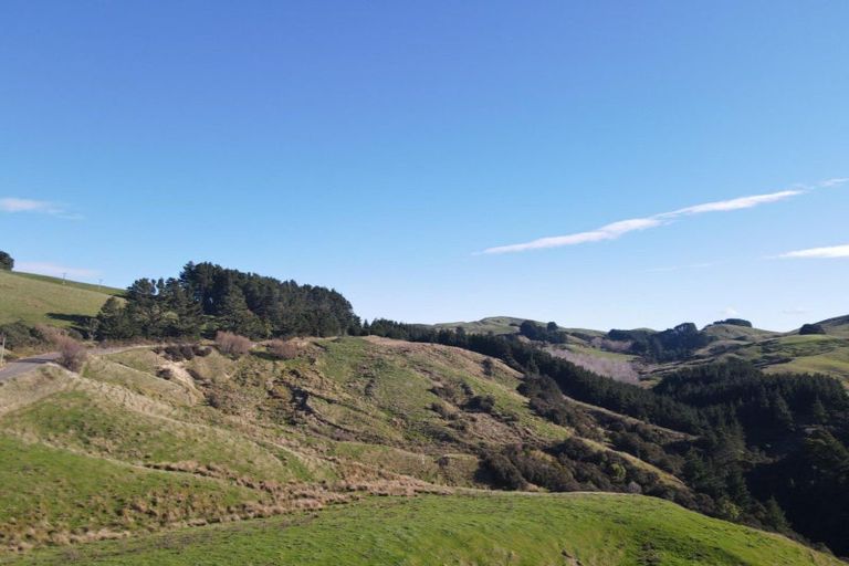 Photo of property in 147 Mangatuna Road, Weber, Dannevirke, 4970