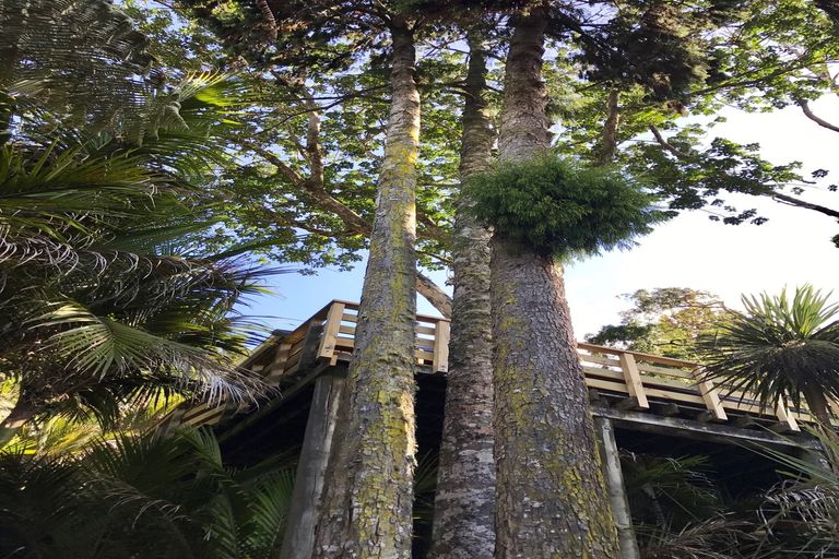 Photo of property in 24 Mahoe Road, Titirangi, Auckland, 0604