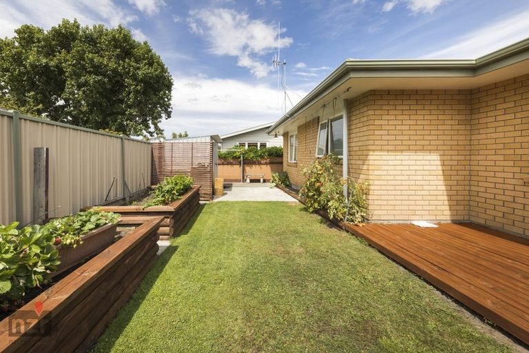 Photo of property in 201 Manchester Street, Feilding, 4702