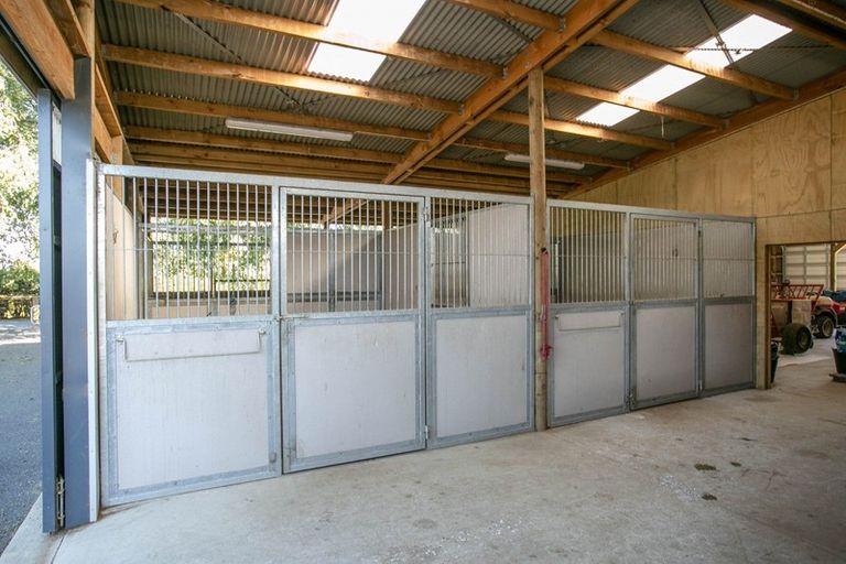 Photo of property in 342 Grice Road, Rotoorangi, Cambridge, 3495