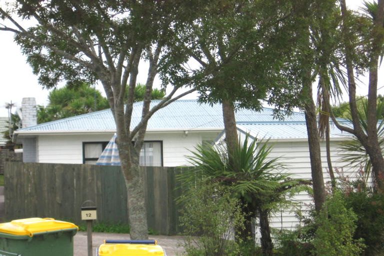 Photo of property in 12 Duncan Avenue, Te Atatu South, Auckland, 0610