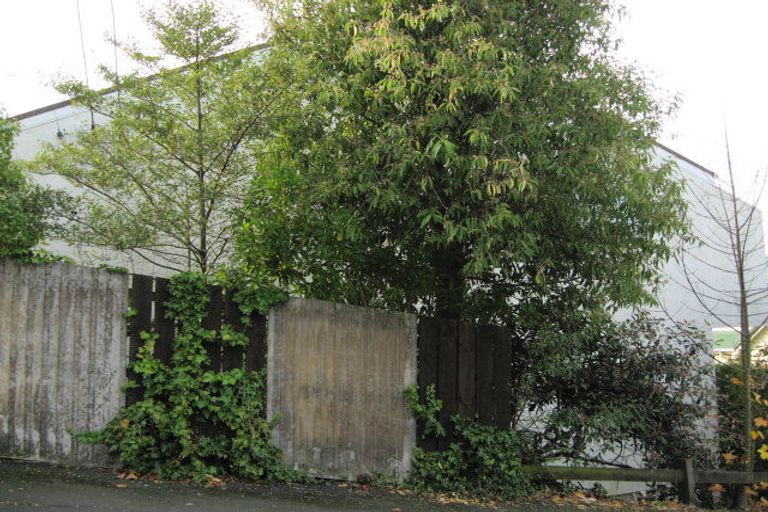 Photo of property in 21b Pacific Street, Roslyn, Dunedin, 9010