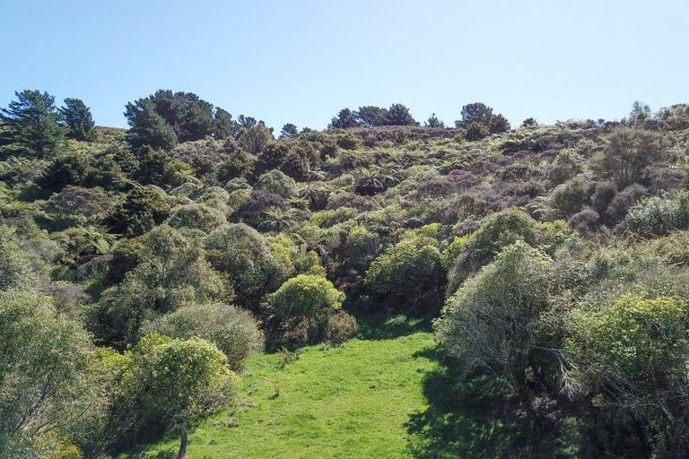 Photo of property in 71 Hoeke Road, Carrington, Carterton, 5791