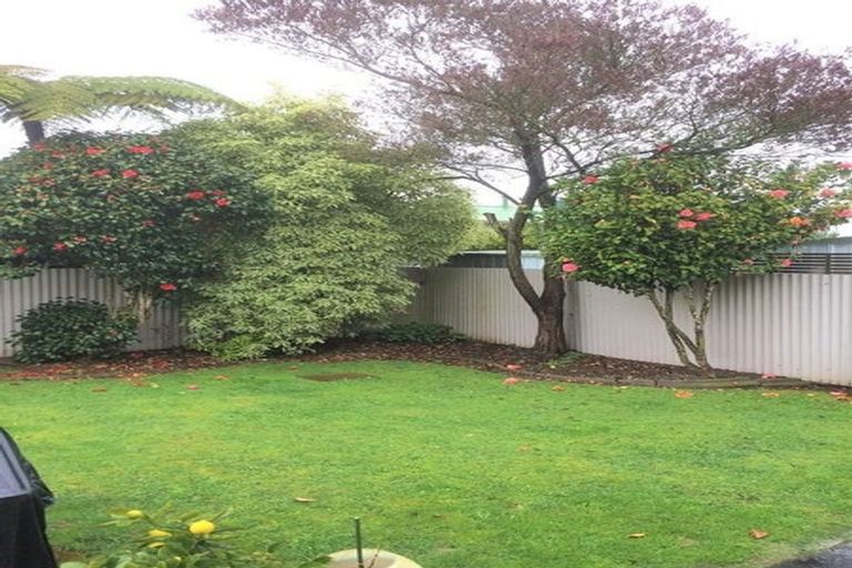 Photo of property in 56 Winchester Street, Levin, 5510