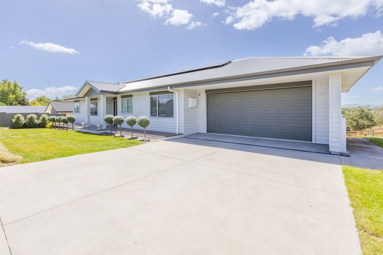 Photo of property in 205 Porangahau Road, Waipukurau, 4200