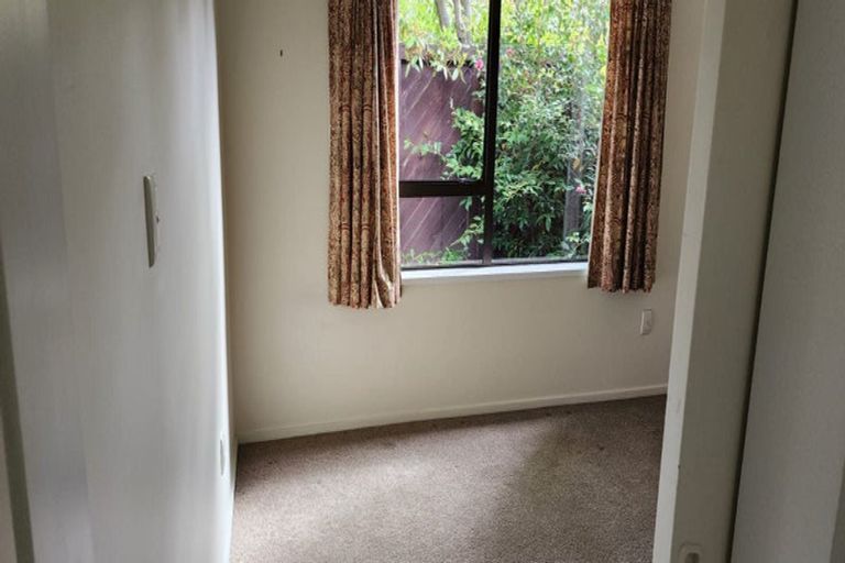 Photo of property in 29 Solway Avenue, Ilam, Christchurch, 8041